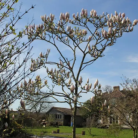 Bed & Breakfast Roseneath House 4*
